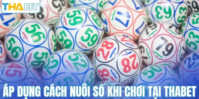 Áp dụng cách nuôi số khi chơi tại THABET