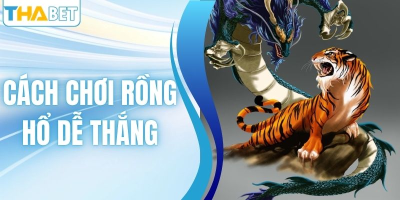 Cách Chơi Rồng Hổ Dễ Thắng Dành Cho Người Mới Tại THABET