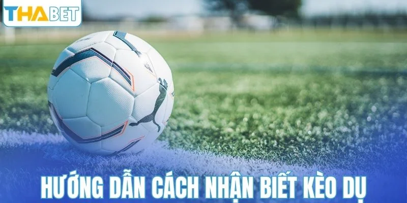 Hướng dẫn cách nhận biết kèo dụ trong bóng đá