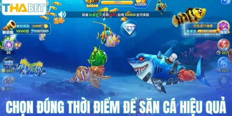 Lựa chọn đúng thời điểm để săn cá hiệu quả