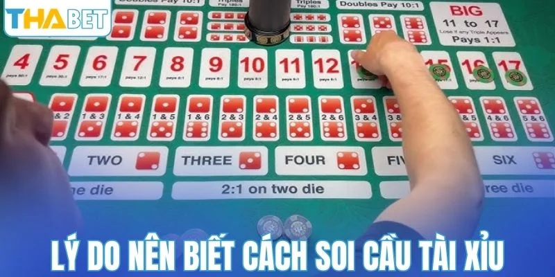 Lý do người chơi nên biết cách soi cầu tài xỉu