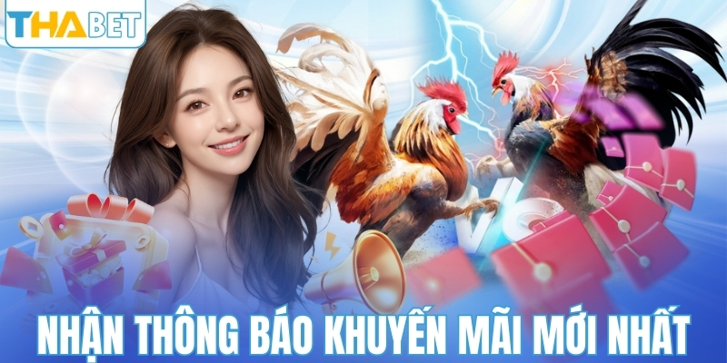 Nhận thông báo mới nhất về các khuyến mãi của nền tảng 